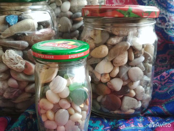 Ракушки и камушки с моря