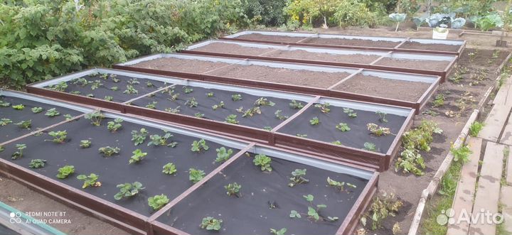 Грядки оцинкованные усиленные
