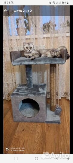 Домик для кошки с когтеточкой новый