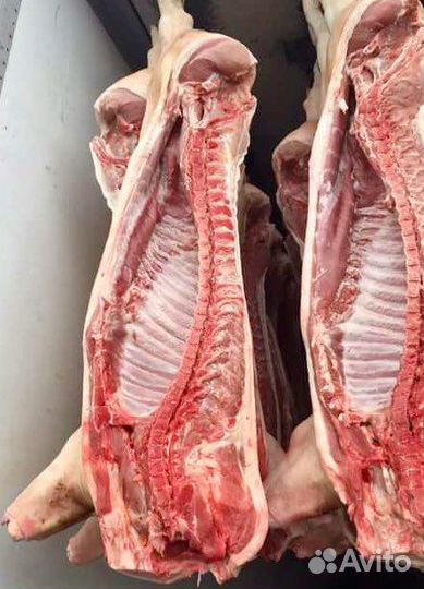 Мясо свинины