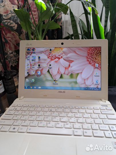 Нетбук asus eee pc