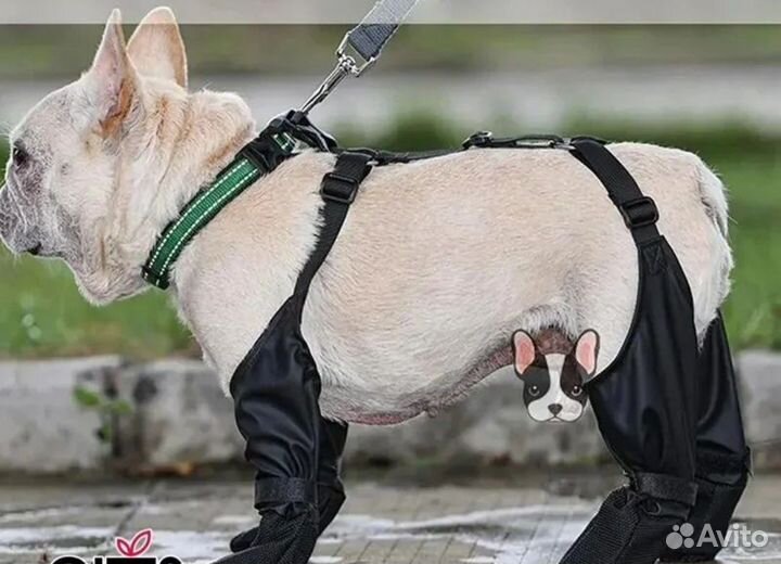 Товары для животных собак