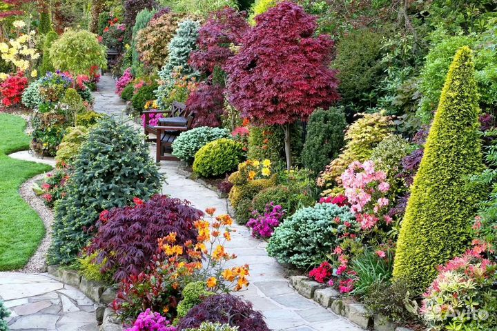 Обмен растениями