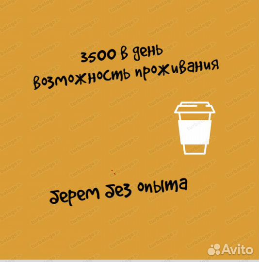 Бариста (без образования) 46