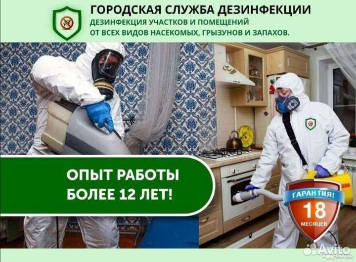 Уничтожение клопов тараканов мышей блох муравьёв