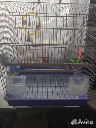 Большая клетка для птиц