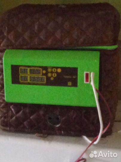 Инкубатор для яиц автоматический