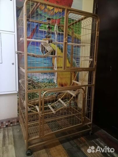 Большая клетка для птиц