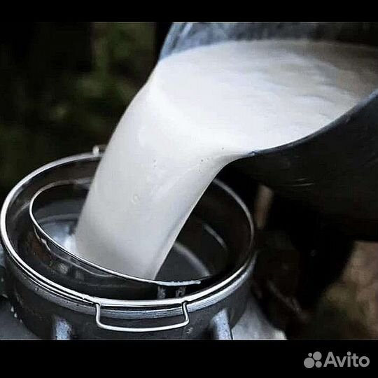 Сыр, Молоко, Яйца(продам) с доставкой