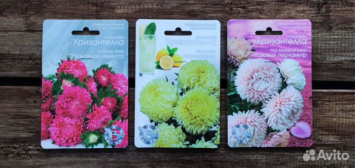 Семена Астра Китайская