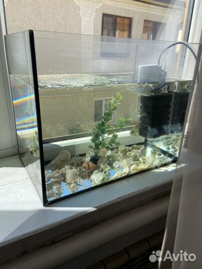Аквариум
