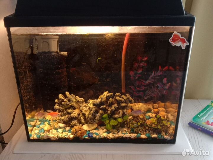 Аквариум