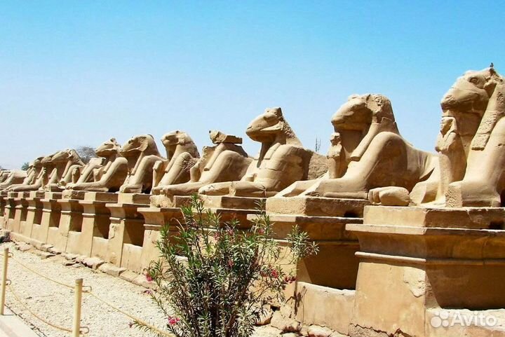 Тур в Хургаду на 6 нч. всё вкл от 1 чел