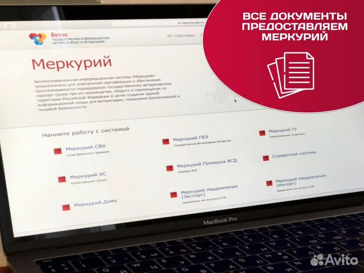 Клешни камчатского краба / Морепродукты