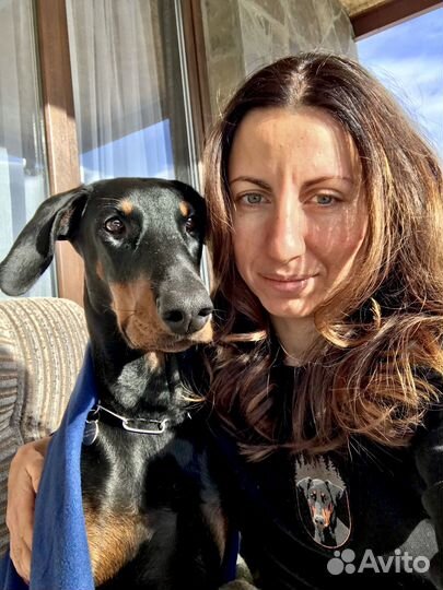 Кинолог. Зоопсихолог. Спорт окд, BH-VT, IGP