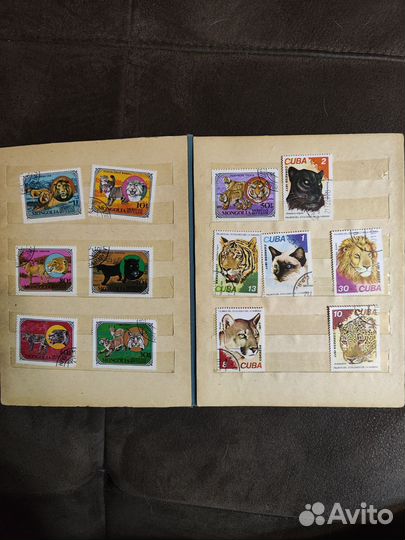 Почтовые марки в альбоме