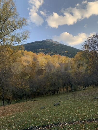 Участок 2,5 га (ИЖС)