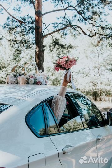 Фотограф / Видеограф