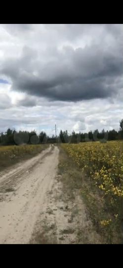 Участок 100 сот. (СНТ, ДНП)