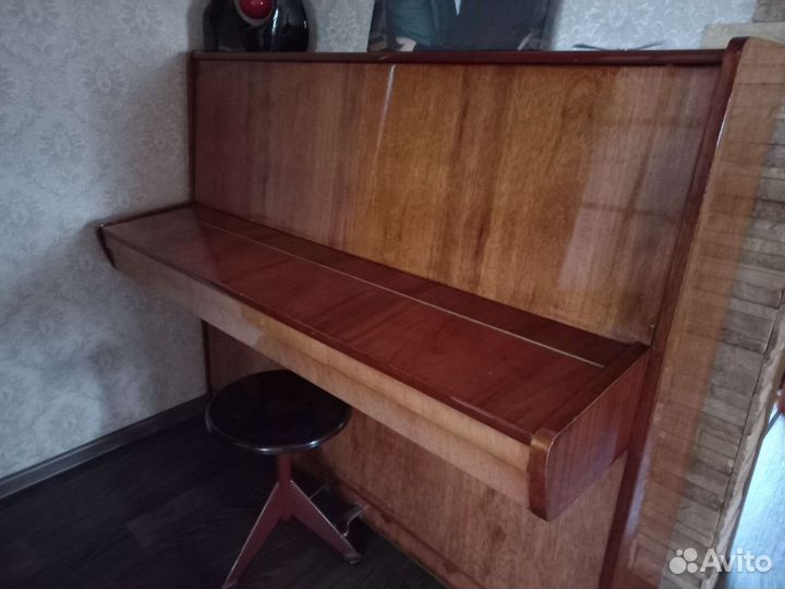 Музыкальные инструменты