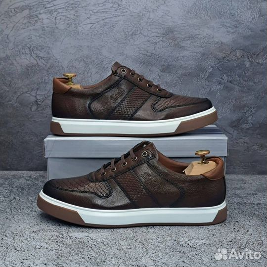 Кеды мужские весна