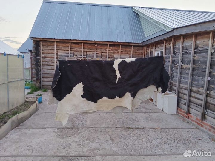 Шкура коровья