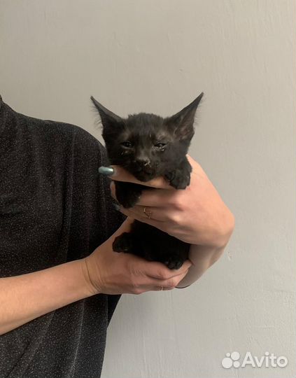 В самые добрые ручки