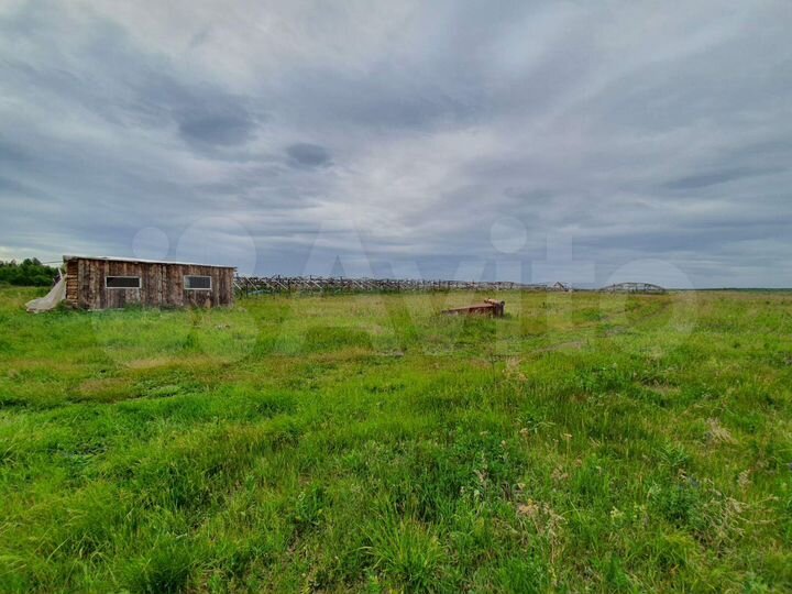 Участок 4 га (СНТ, ДНП)