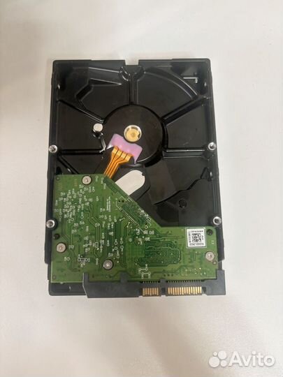 Жесткий диск 1 тб western digital