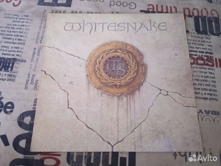 Whitesnake