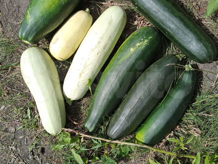 Дача 20 м² на участке 7,5 сот.