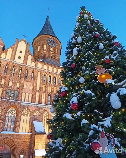 Экскурсионные туры и отдых в Калининграде