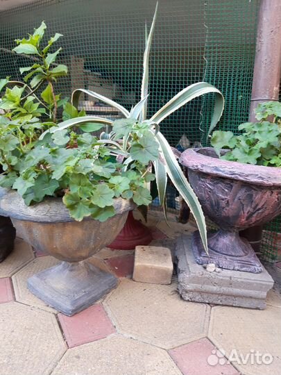 Изготовление цветочных горшков