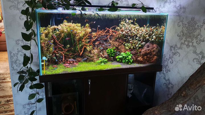 Аквариум в сборе