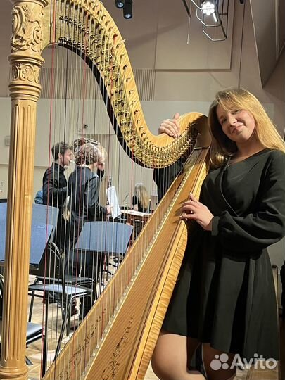 Репетитор по Арфе, репетитор по Сольфеджио