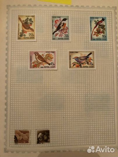 Марки СССР Фауна 2