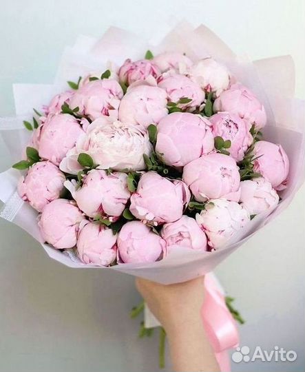 Пионы Розы Доставка