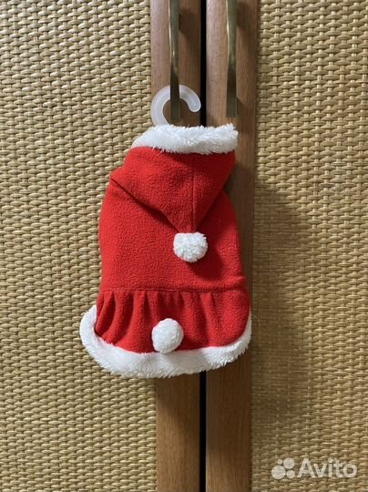 Вещи для чихуахуа