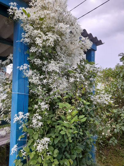 Дача 30 м² на участке 11 сот.
