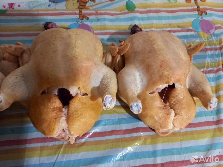 Мясо домашнего бройлера