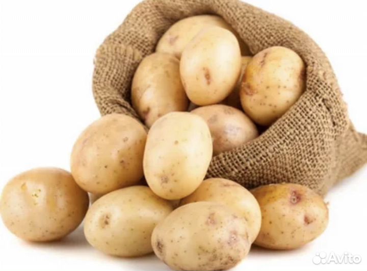 Продам картофель