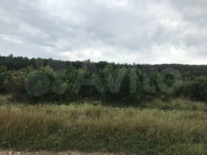 Участок 45 сот. (СНТ, ДНП)