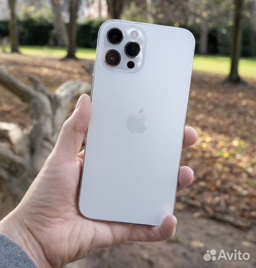iPhone 12 Pro Max, 256 ГБ