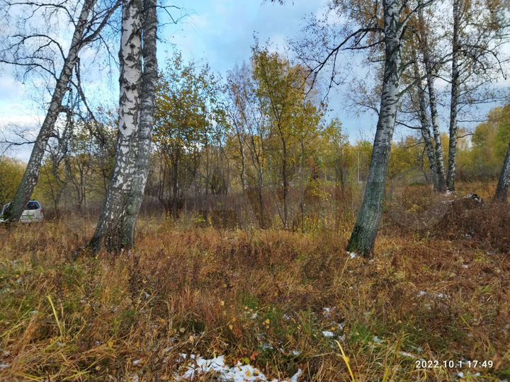 Участок 12 сот. (СНТ, ДНП)