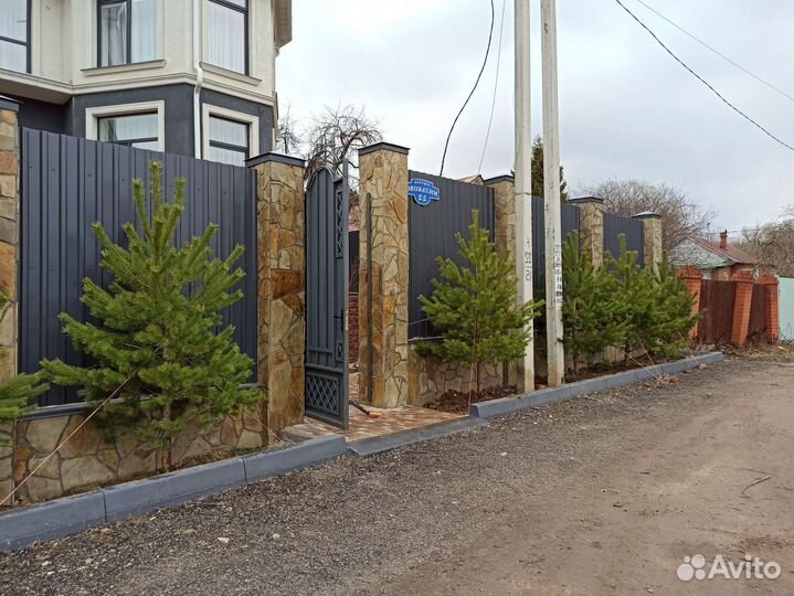 Сосны 2-2,5 метра и выше