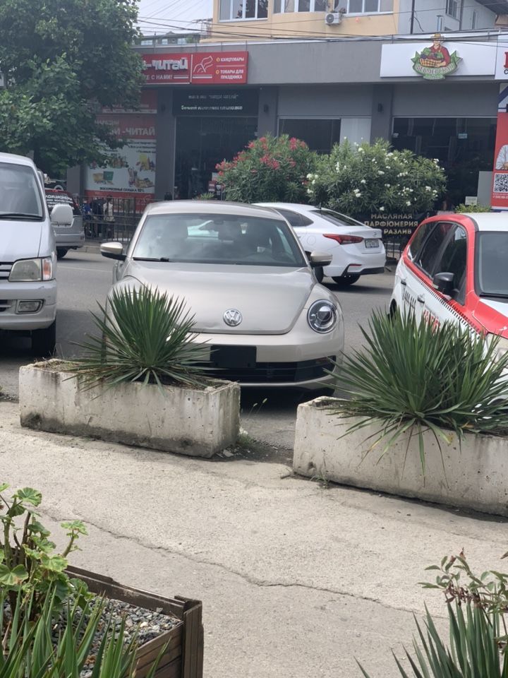 Volkswagen Beetle: фото из отзыва