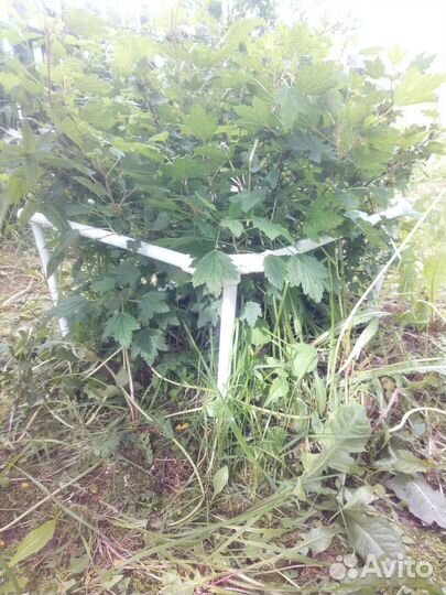 Подставка под кусты