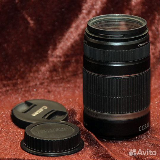 Canon EF-S 55-250mm f/4-5.6 IS