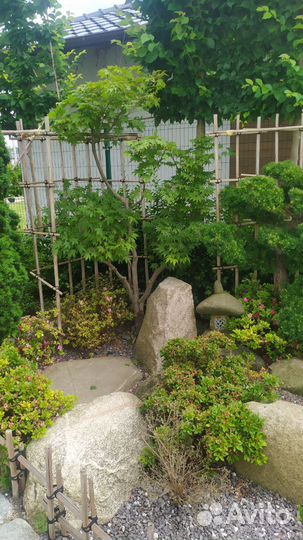 Садовник, уход за садом. Ландшафтный дизайн