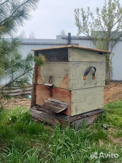 Пчелиные ульи